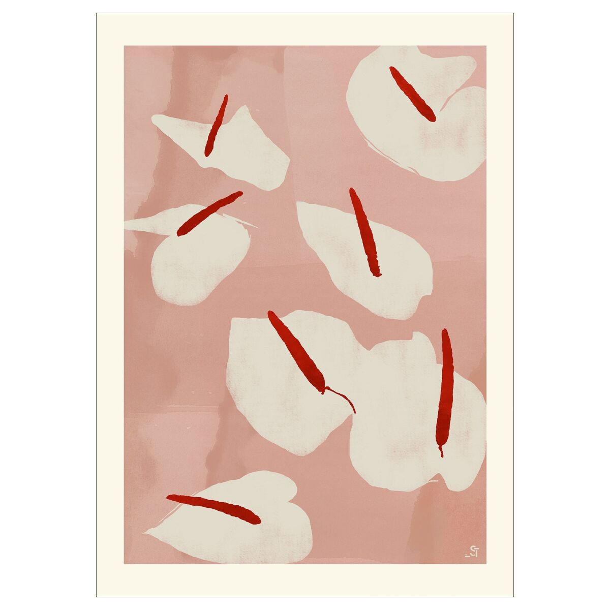 PSTR Studio Sylvia - Anthurium - A5