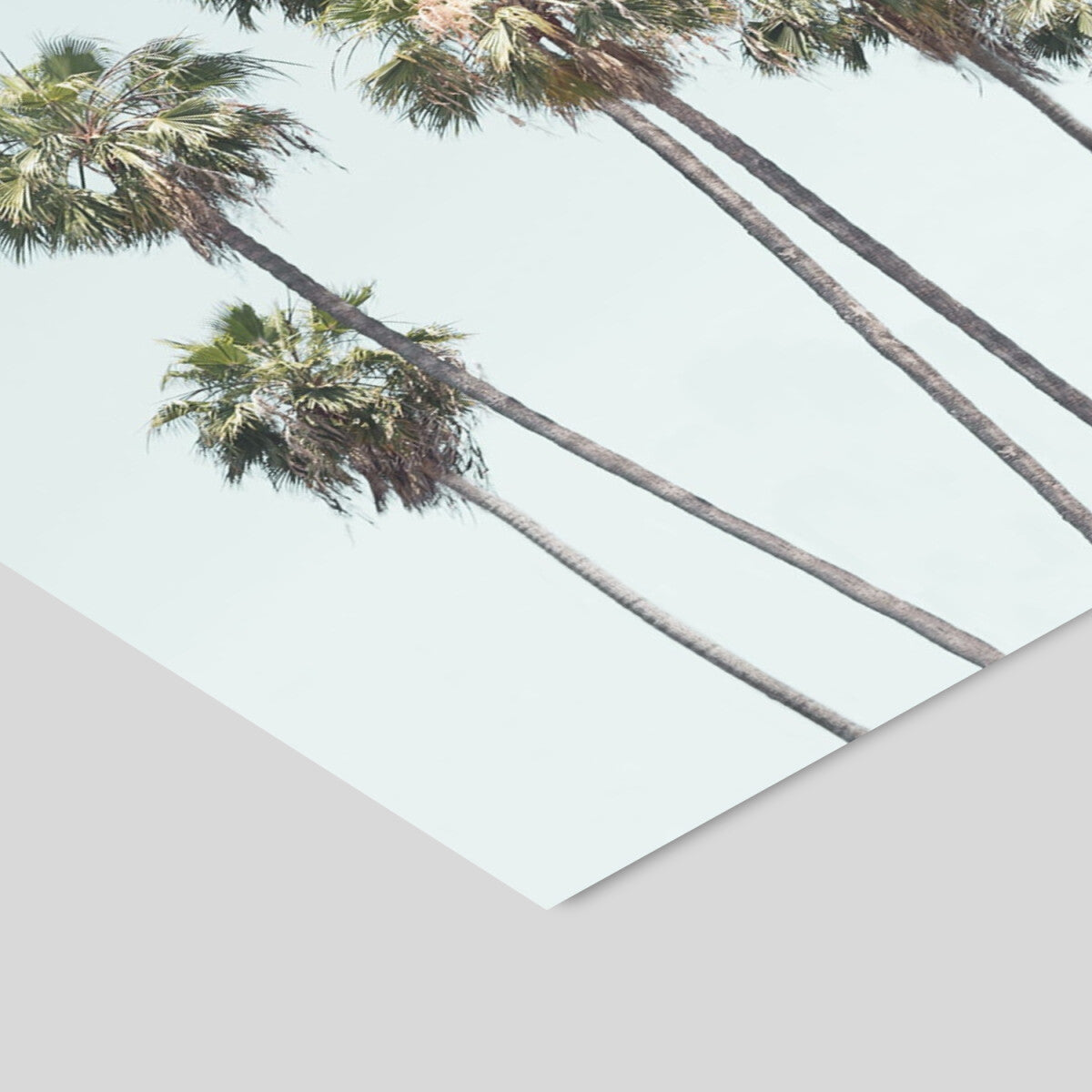 Kathrin Pienaar Blue Palm Trees 30 x 40 cm