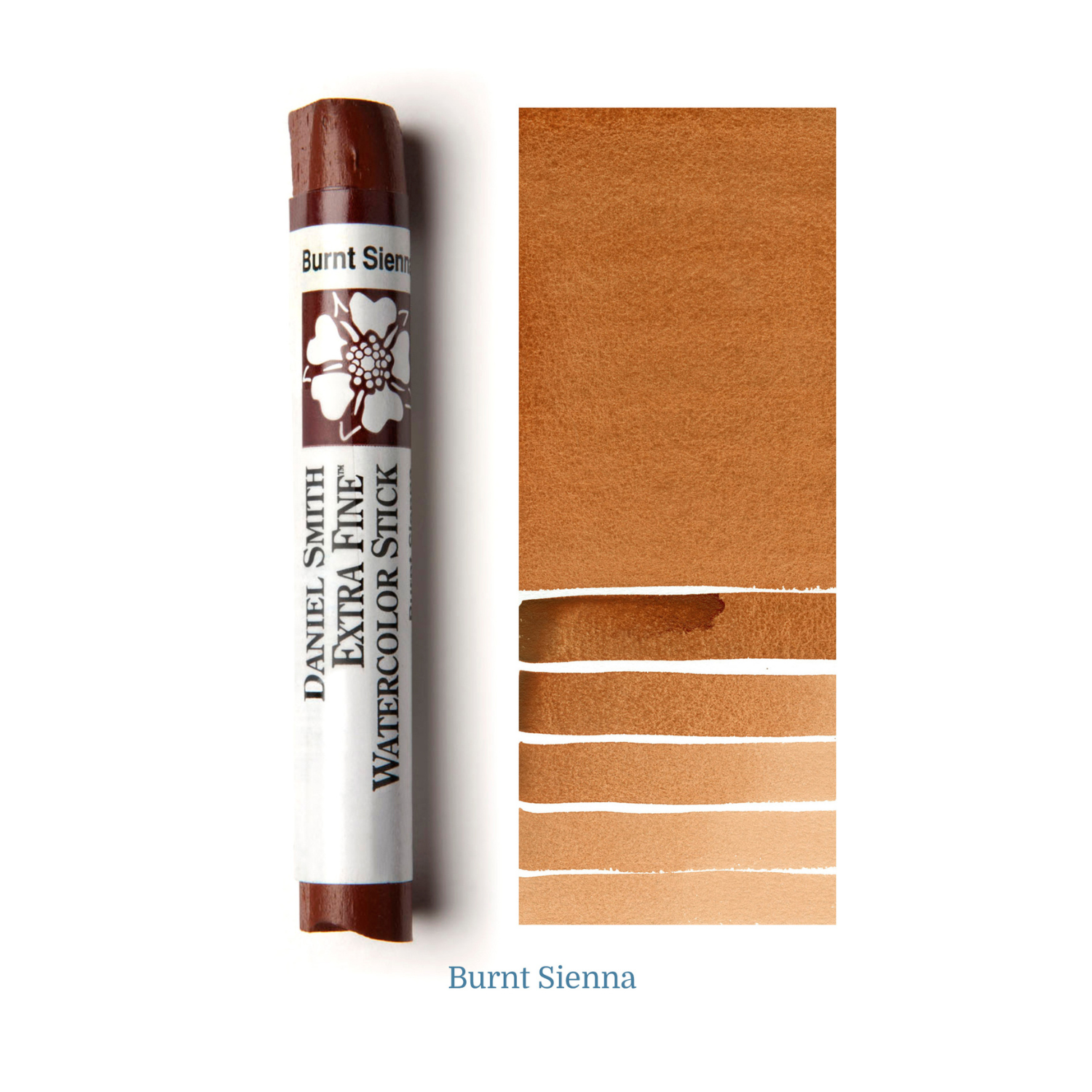 DS Watercolor Stick Burnt Sienna