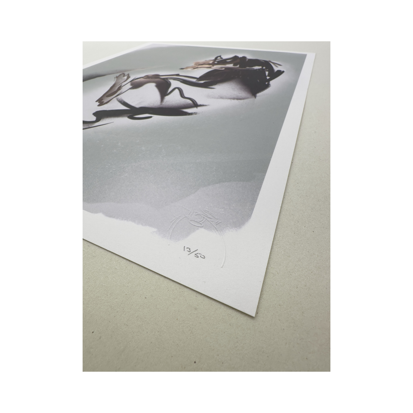 Animal abstract - fox