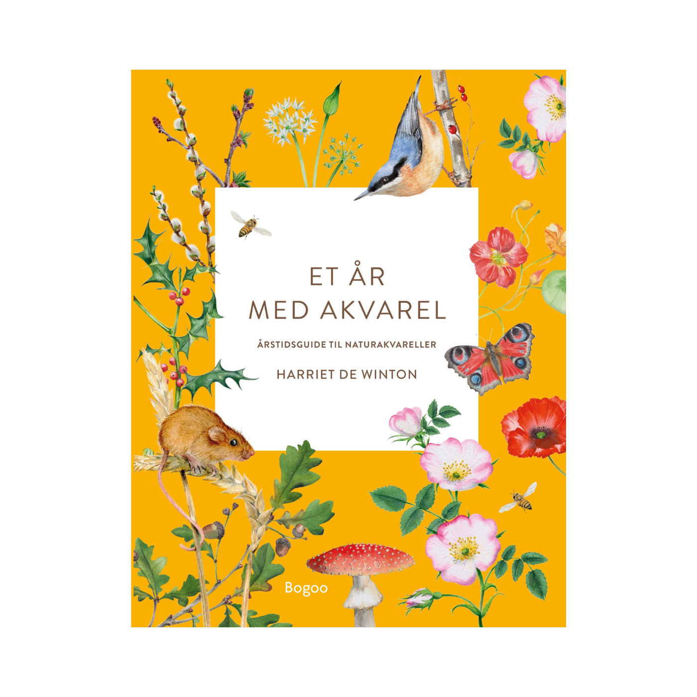 Et år med akvarel - Årstidsguide til naturakvareller