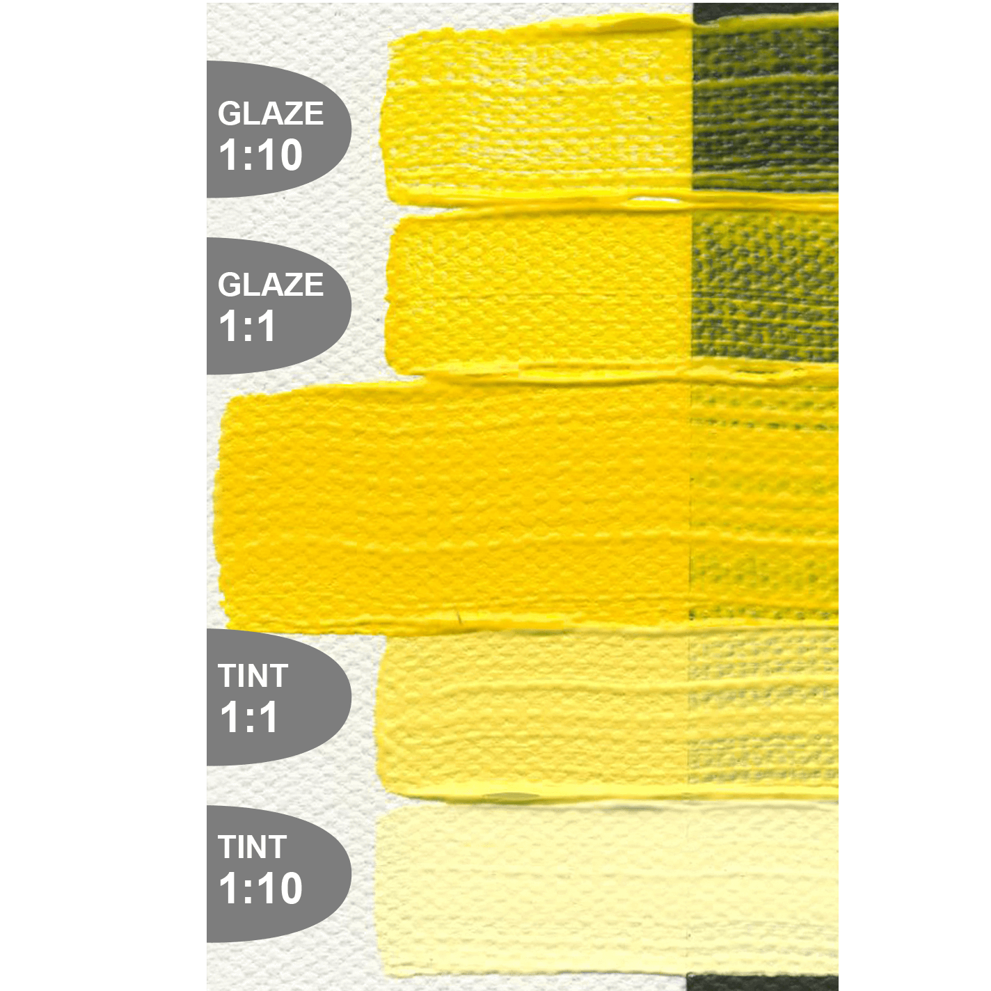 Golden Heavy Body Cadmium Yellow Medium Hue