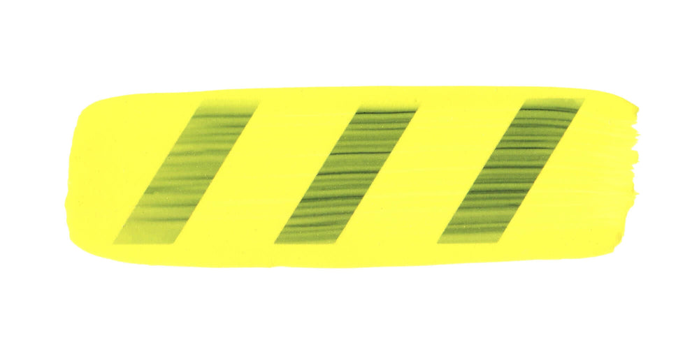 Golden Open Cadmium Yellow Primrose