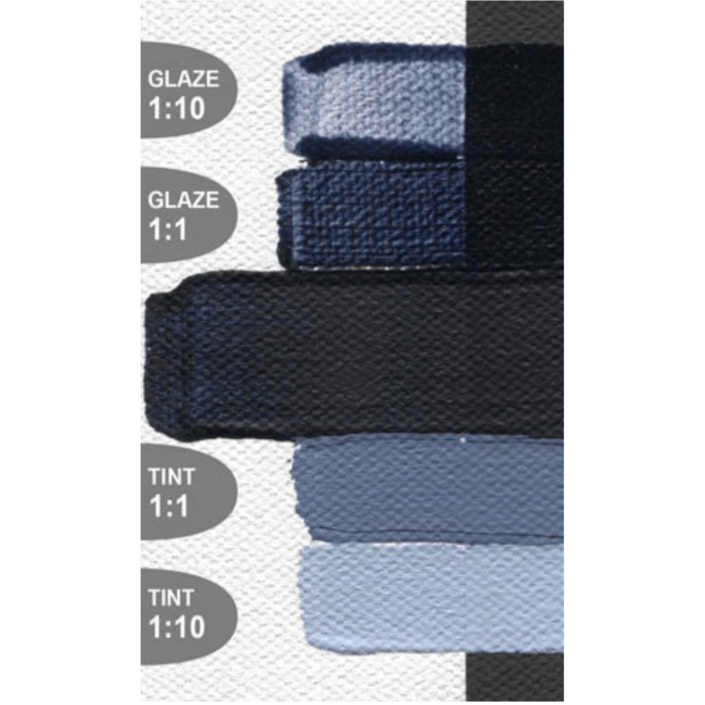 Golden Open Payne's Gray