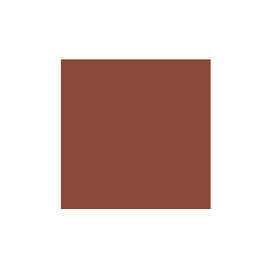 Vallejo Fluid 100 Burnt Sienna