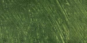 Williamsburg Oliemaling Italian Terra Verte