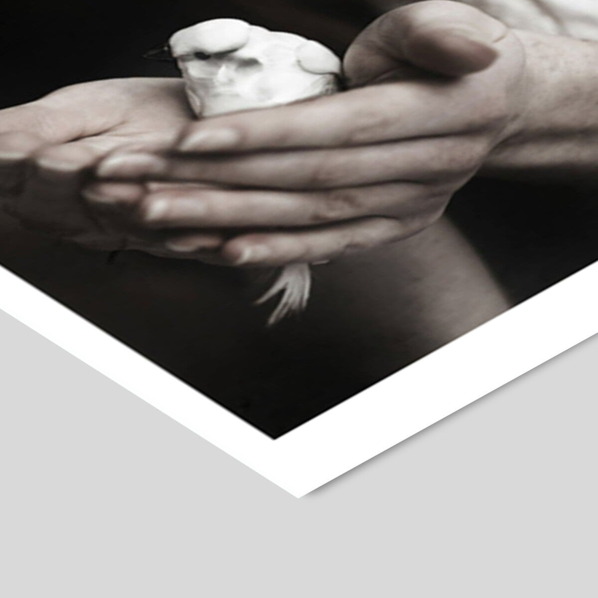 Ingrey Studio Girl & Bird 30 x 40 cm