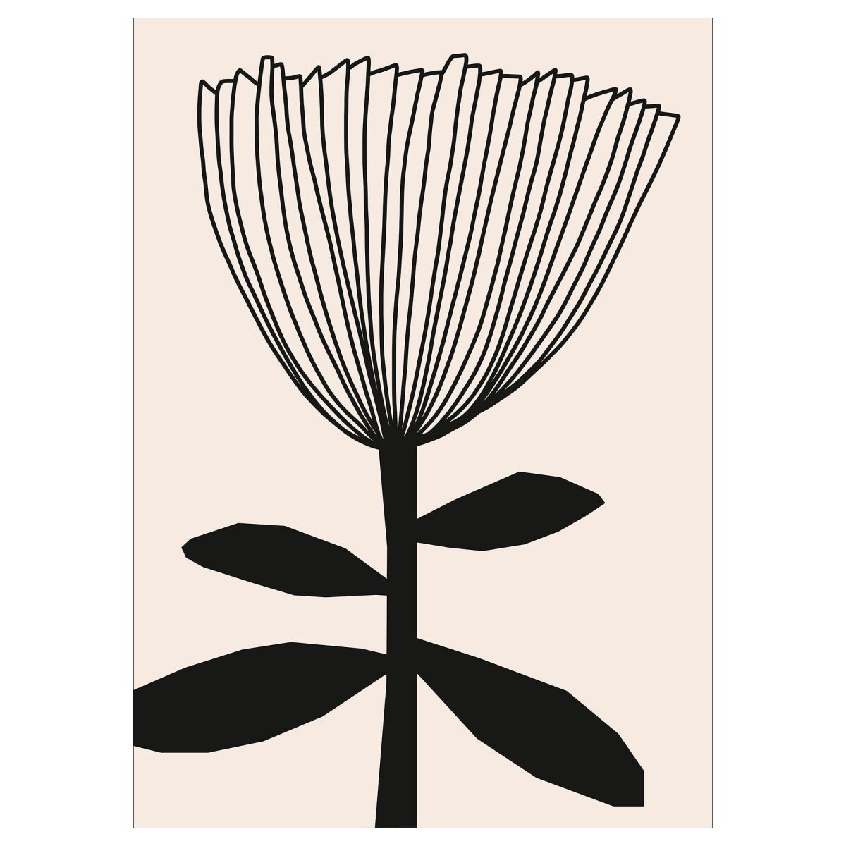 PSTR Studio Silvia - Flower I - A5