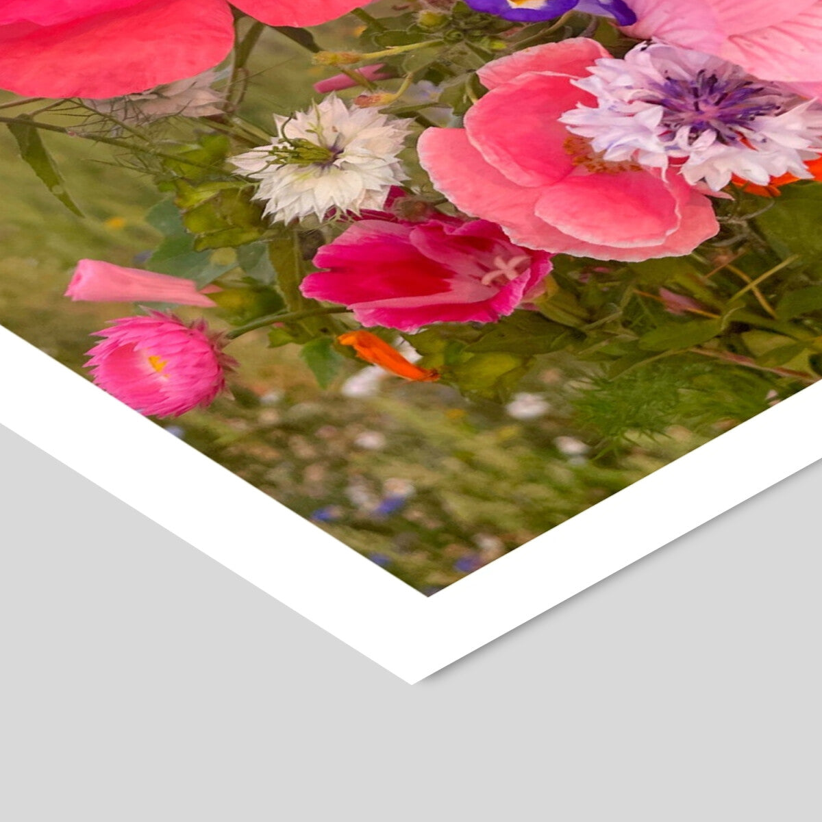 Poppykalas Cottage flowers - A5