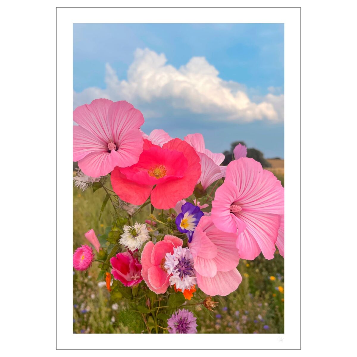 Poppykalas Cottage flowers - A5