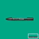 Promarker Green (G847)