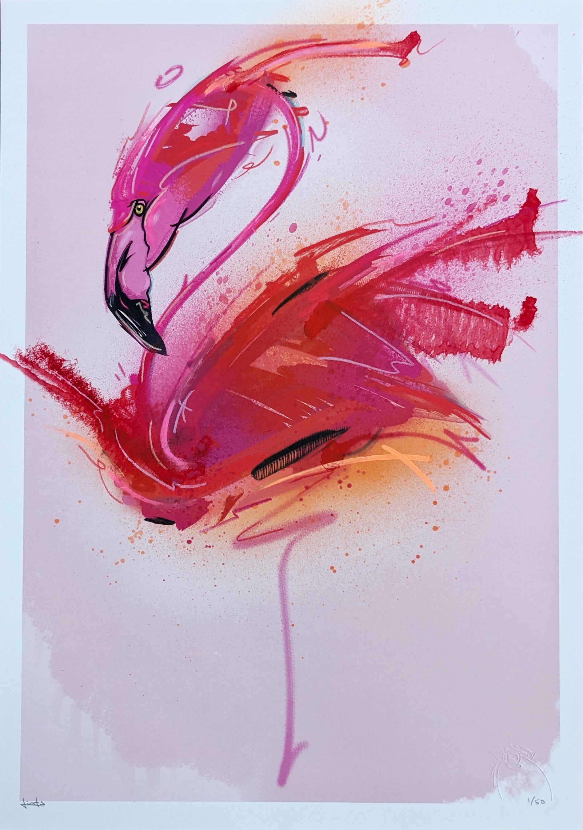 Flamingo 1
