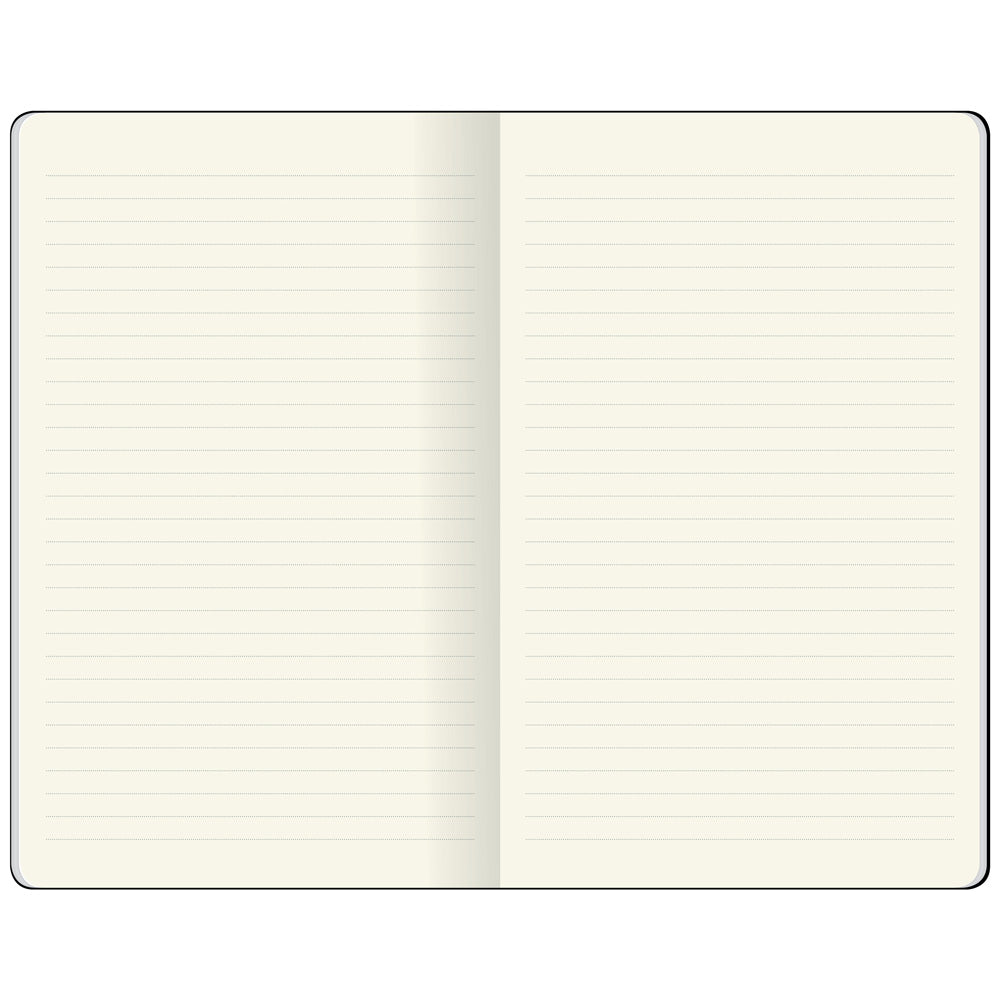 Flexbook Ecosmiles Notebook 13x21 cm – Ruled