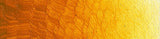 Indian Yellow-Brown Extra