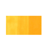 Y17 Golden Yellow