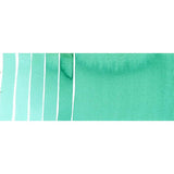 Genuine Amazonite