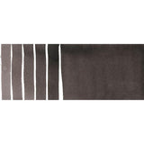 Neutral Tint