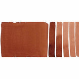 DS 1/2 pans Monte Amiata Natural Sienna S.1