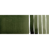 DS 1/2 pans Perylene Green S.2