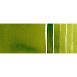 DS 1/2 pans Sap Green S.2