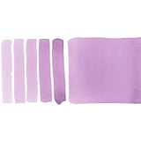 DS 1/2 pans Wisteria S.2