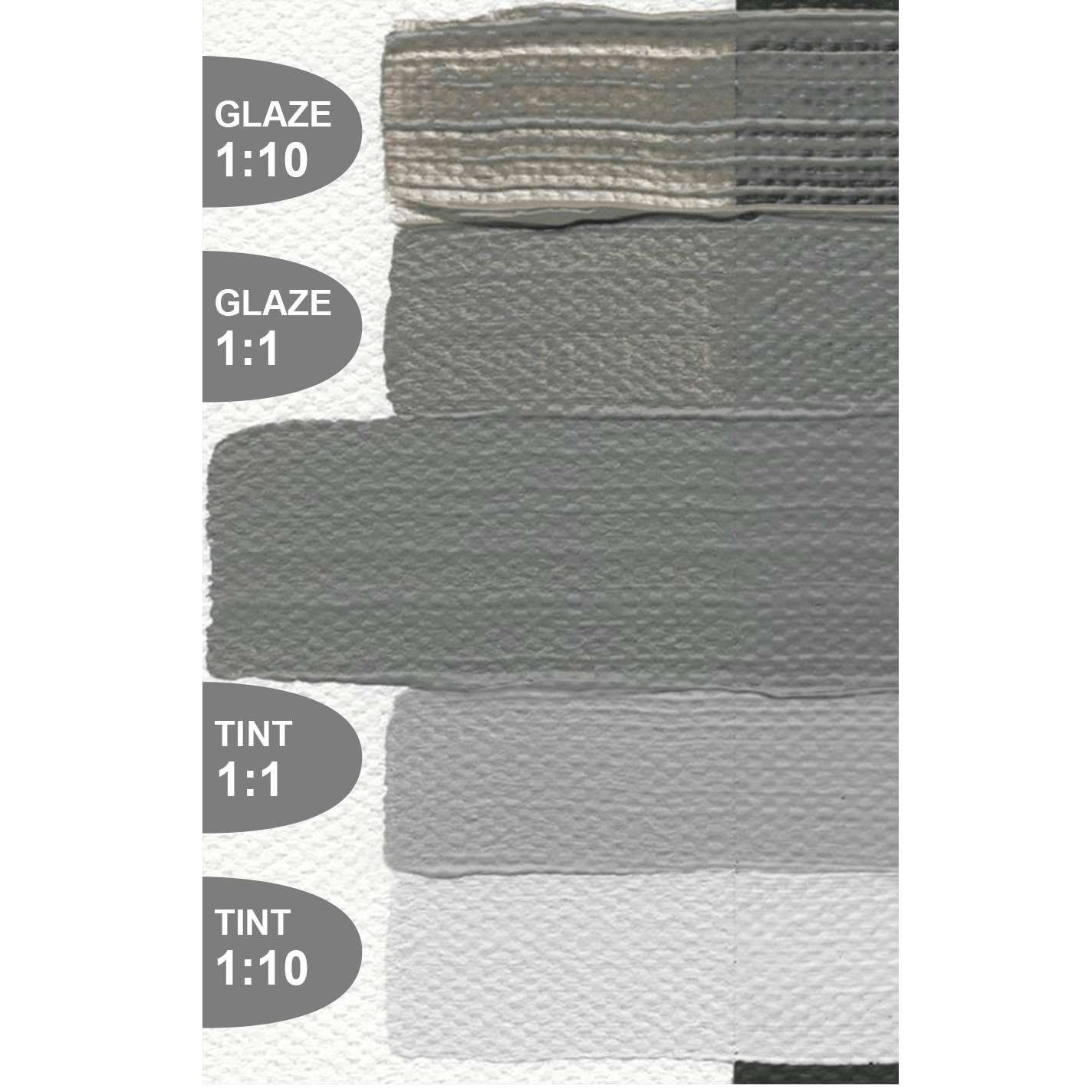 Golden Open N5 Neutral Gray