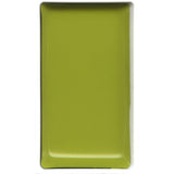 GREENISH YELLOW 48