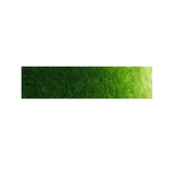 Juice Green Lake Extra