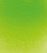 Alizarin Crimson