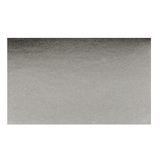 Neutral Grey