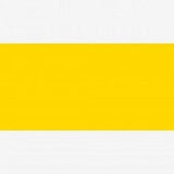 Primary Yellow