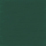 Cobalt Green Light
