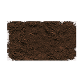 Raw Umber