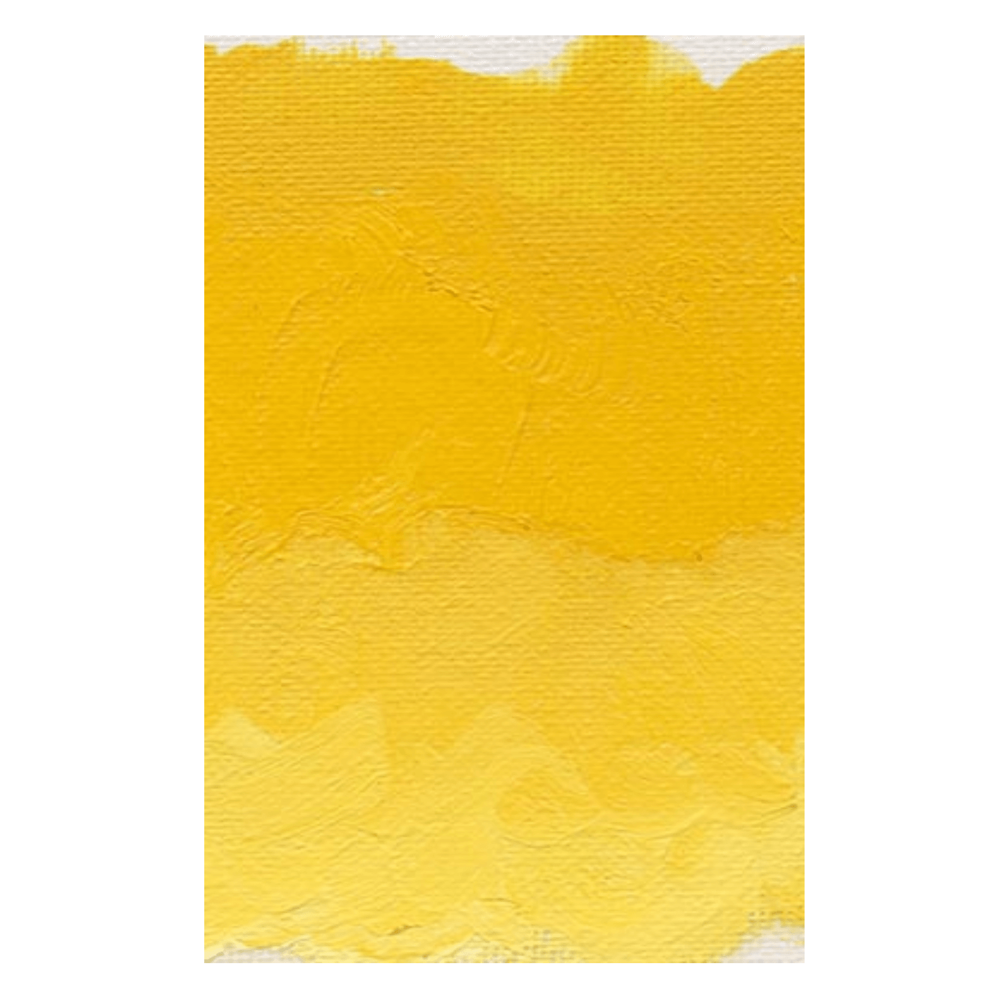 Williamsburg Oliemaling Cadmium Yellow Deep