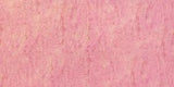 Dianthus Pink