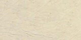 Unbleached Titanium Pale