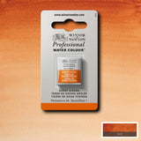 Burnt Sienna