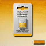 Raw Sienna