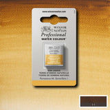 Raw Umber